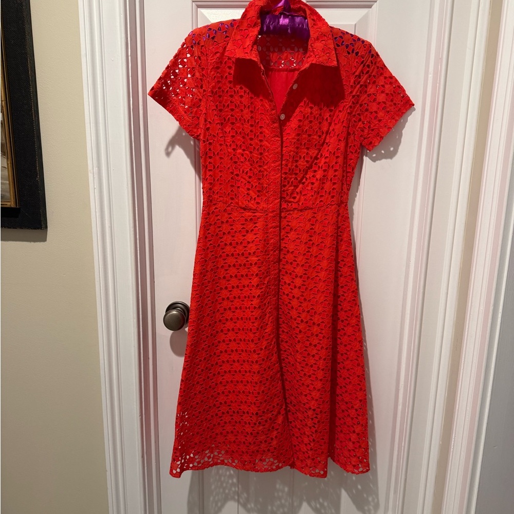 Lace Spring Dress - Picture 3 of 3
